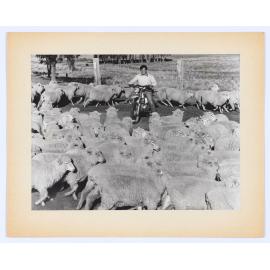 Youth in the 80s: CYSS Rural Work Skills