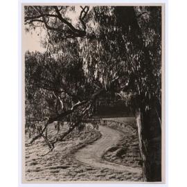 Botanic Gardens, Orange, NSW