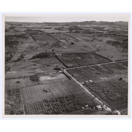 Aerial view of orchards near Orange