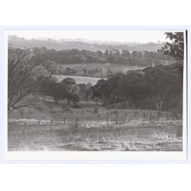 View west from entrance to the Botanic Gardens