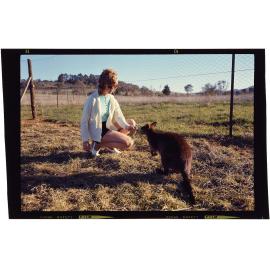 Woman hand feeding wallaby