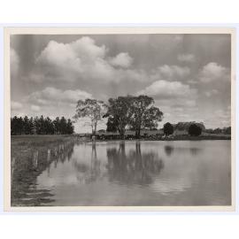 Dairying property outside Orange