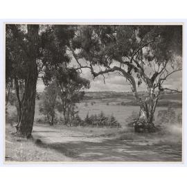 Country scene, Orange