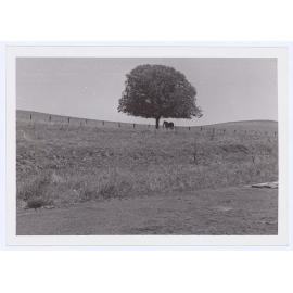 Sewerage treatment works Orange