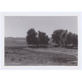 Sewerage treatment works Orange