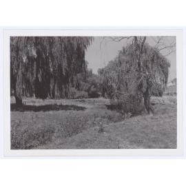 Sewerage treatment works Orange