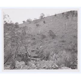 Suma Park Dam, Orange, NSW