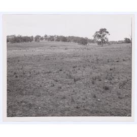 Suma Park Dam, Orange, NSW