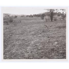 Suma Park Dam, Orange, NSW
