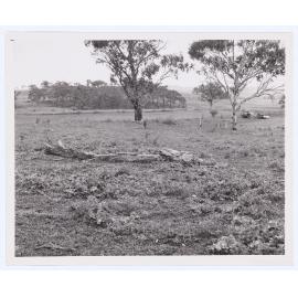 Suma Park Dam, Orange, NSW