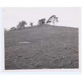 Suma Park Dam, Orange, NSW