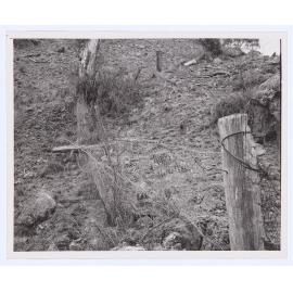 Suma Park Dam, Orange, NSW