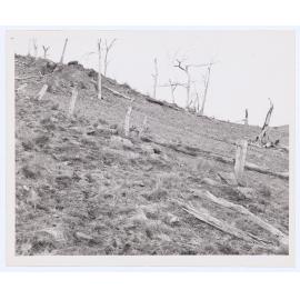 Suma Park Dam, Orange, NSW