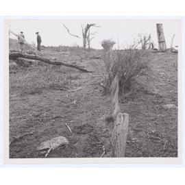Suma Park Dam, Orange, NSW
