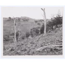 Suma Park Dam, Orange, NSW