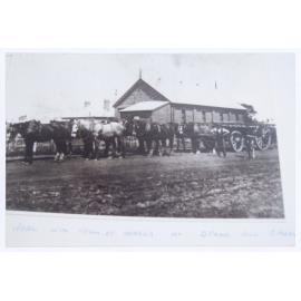 Roy Neal with his team of horses