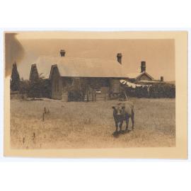 School and residence, Eglinton