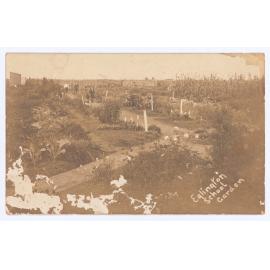 Eglinton School Garden