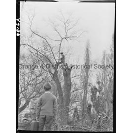 Clean-up at the duck pond