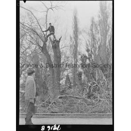 Clean-up at the duck pond