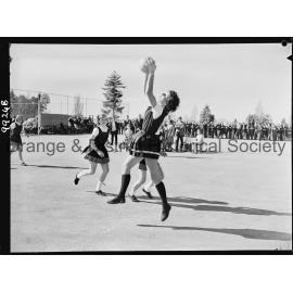 Astley Cup basketball