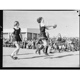Astley Cup basketball