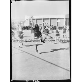 Astley Cup basketball