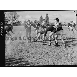 Astley Cup rugby league