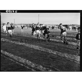 Astley Cup rugby league