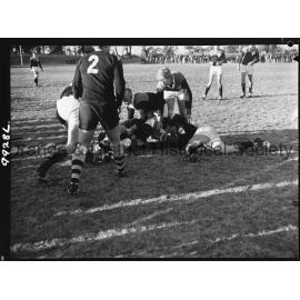 Astley Cup rugby league