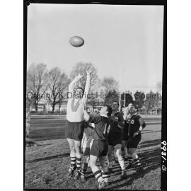 Rugby union Emus v Sylvania-Blakehurst