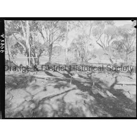 Proposed site of Wentworth Public Golf Club clubhouse