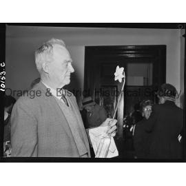 Best bloom, Daffodil