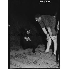 Car crashes on railway line