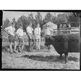 Hawkesbury Agricultural College students inspect 'Glendower' property