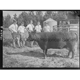 Hawkesbury Agricultural College students inspect 'Glendower' property