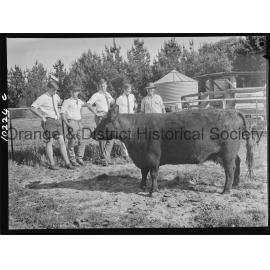 Hawkesbury Agricultural College students inspect 'Glendower' property