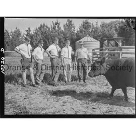 Hawkesbury Agricultural College students inspect 'Glendower' property