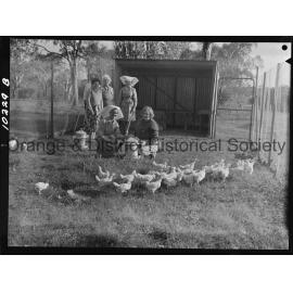 Chicken run at hospital