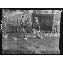 Chicken run at hospital