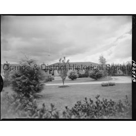 Prize-winning garden