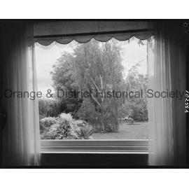 Prize-winning garden