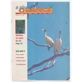 A Slice of Orange February 2000