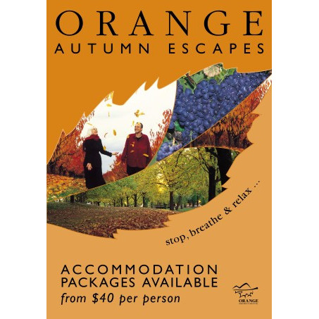 Orange Autumn Escapes