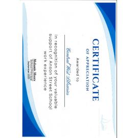 Certificate of Appreciation for valuable support of Anson Street School work experience