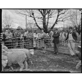 Cherry Blossom Queen candidate