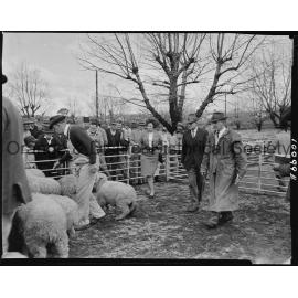Cherry Blossom Queen candidate