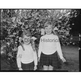 Spring blossoms in Cook Park