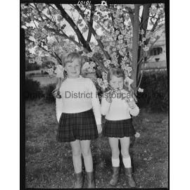 Spring blossoms in Cook Park