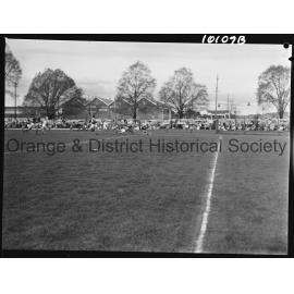 Rugby league Oberon v St Patrick's